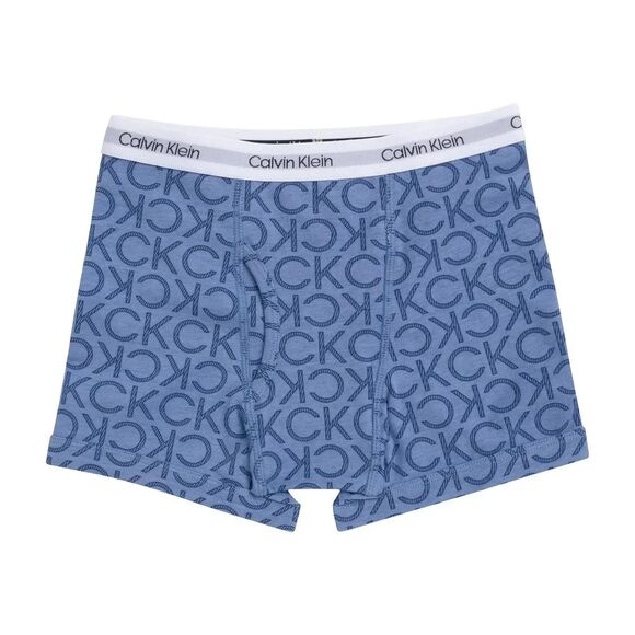 Calvin Klein Boys' 6 Pack Boxer Briefs L - Picture 4 of 9